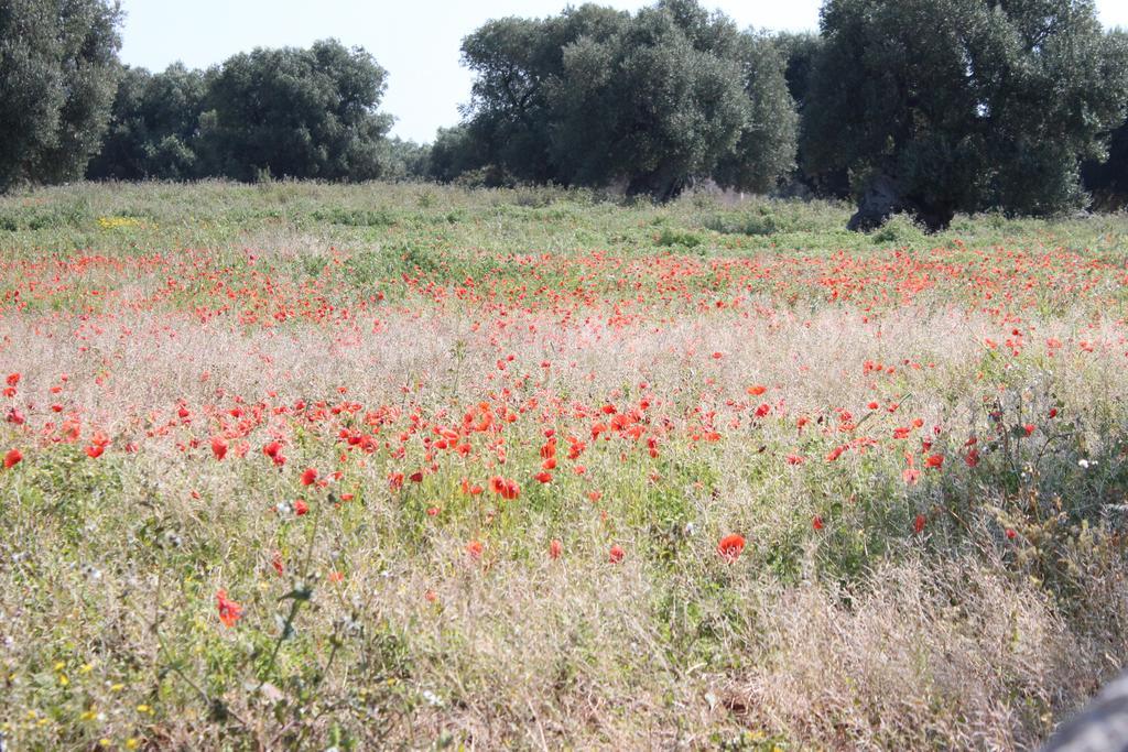 Masseria Valente Ostuni Eksteriør billede