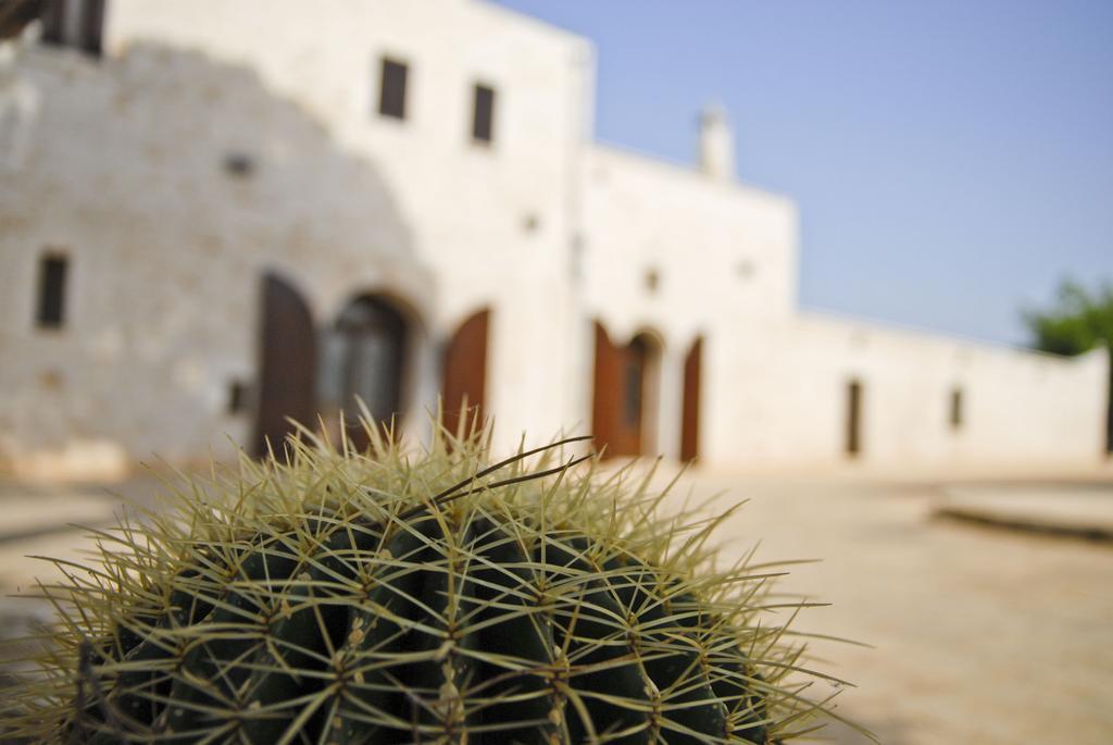 Masseria Valente Ostuni Værelse billede