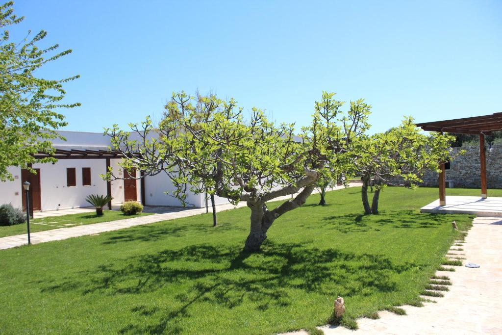 Masseria Valente Ostuni Eksteriør billede